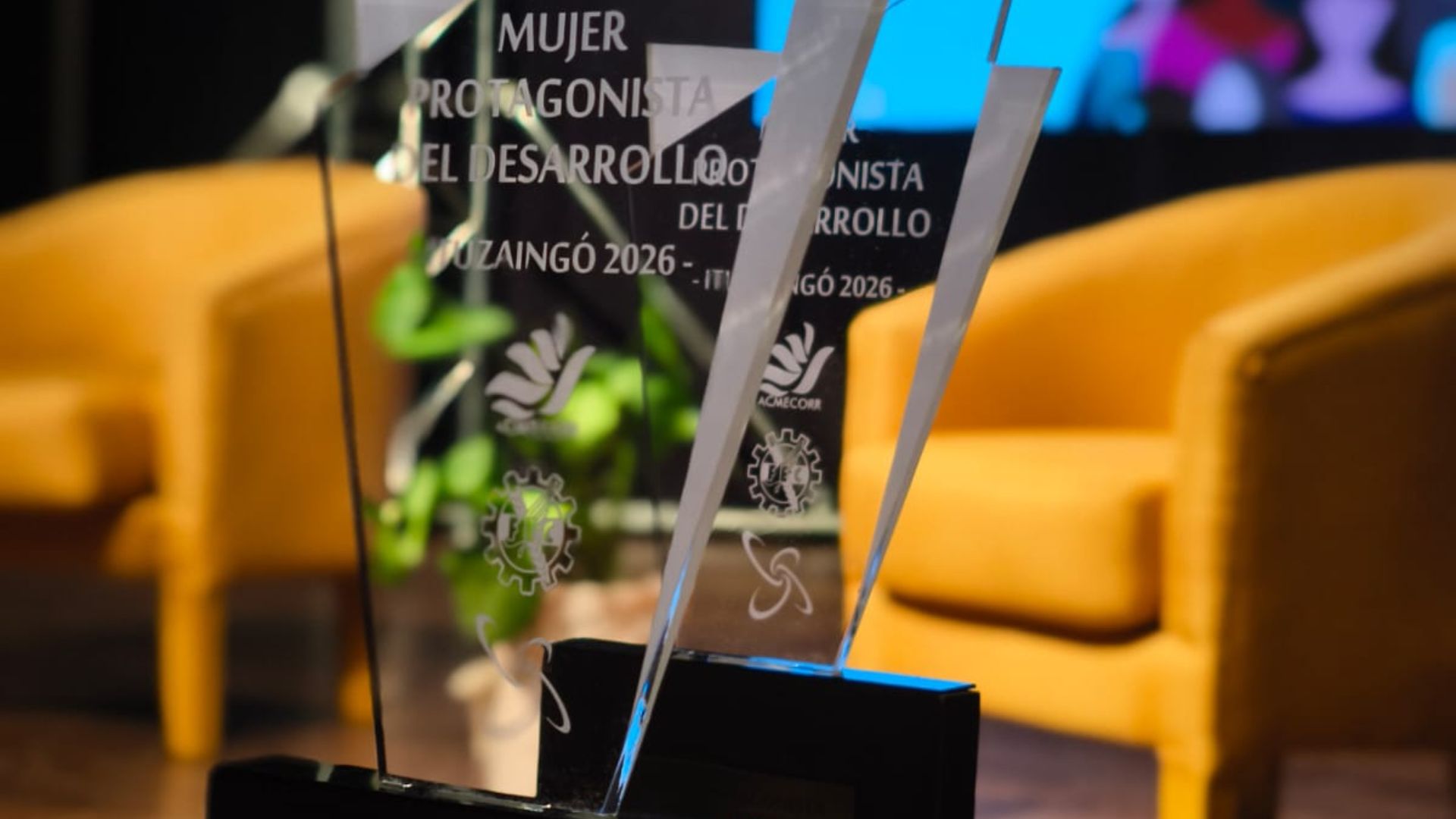 MUJERES PROTAGONISTAS DEL DESARROLLO