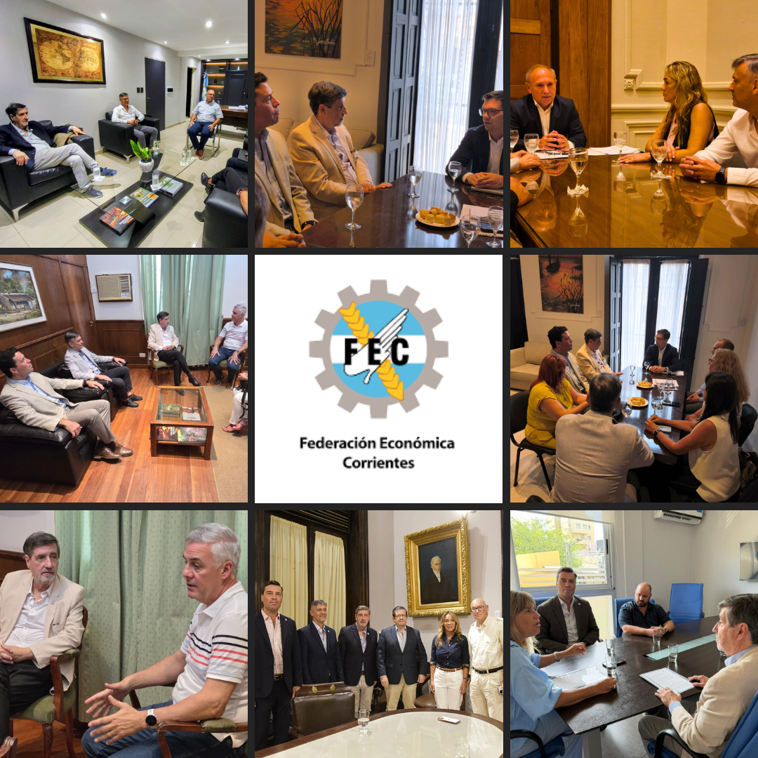 FEC GESTIÓN 2026