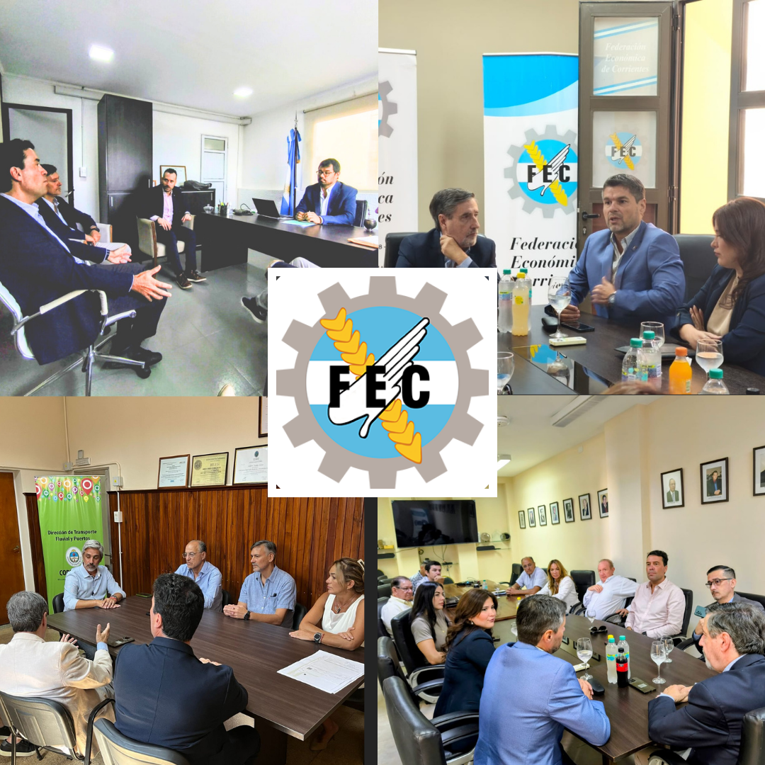 REUNIONES INSTITUCIONALES 
