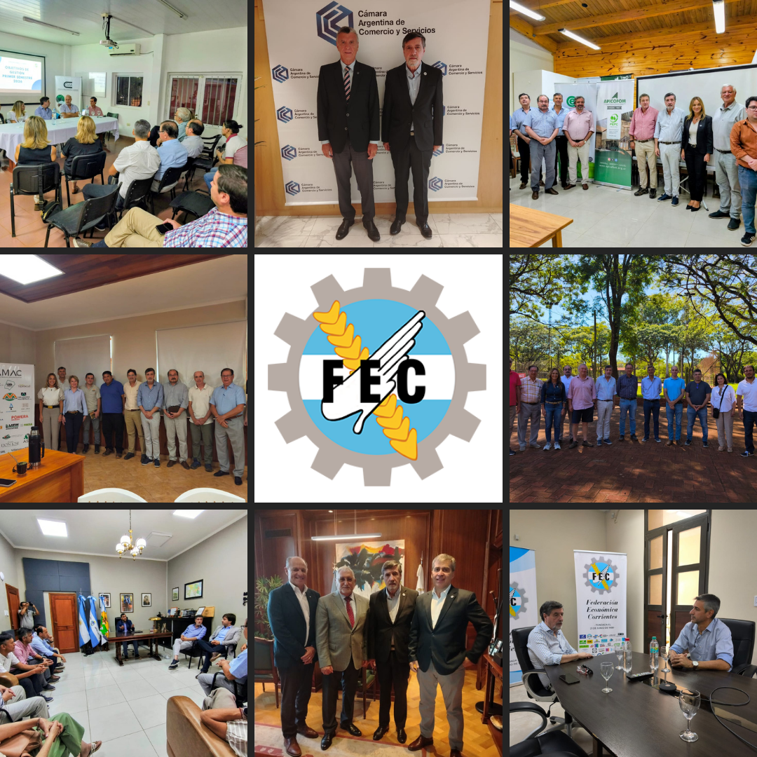 GIRA INSTITUCIONAL FEC